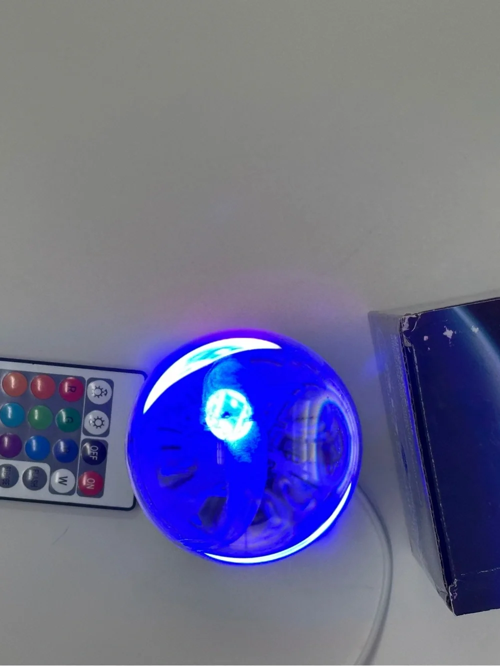 Axolotl 3D Visualization Lamp - glass Globe with Wooden Base